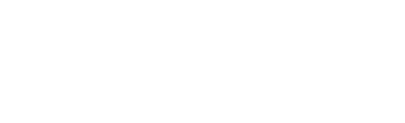 WorldIDP — Drive the World